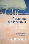 Polishing the Mountain, or Catching Balance Just in Time - V B Price - 9781735151687