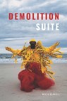 Demolition Suite - Willa Carroll - 9781735483979