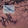 Thorny - Judith Baumel - 9781737615668