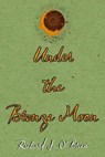 Under the Bronze Moon - Richard J. O'Brien - 9781737702771