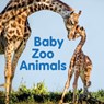 Baby Zoo Animals - New Holland Publishers - 9781760795504