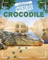 Crocodile - John Lesley - 9781761400124