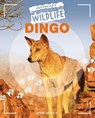 Dingo - John Lesley - 9781761400131