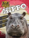 Hippo - John Lesley - 9781761402494