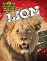 Lion - John Lesley - 9781761402500