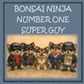 Bonsai Ninja - Number One Super Guy! - Chris Anne Moore - 9781764106030