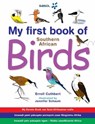 My First Book: South African Birds V1 - Erroll Cuthbert - 9781770072831