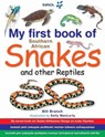 My First Book: South African Snakes & Reptiles - Bill Branch - 9781770075429