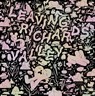 Leaving Richard's Valley - Michael Deforge - 9781770463431