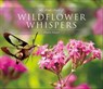 Little Book of Wildflower Whispers - Denise Adams - 9781771087445