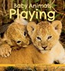 Baby Animals Playing - Suzi Eszterhas - 9781771475747