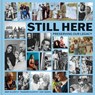 Still Here - Mary McCarthy ; Thandiwe McCarthy - 9781773104522