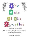 The Acts of the Apostles Colouring Book: The Soothing, Simple to Colour Acts of the New Testament - PINCINI,  Esther - 9781773350950