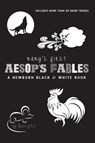 Baby's First Aesop's Fables - Ashley Lee - 9781774373651