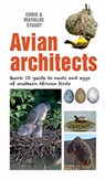 Avian Architects - Chris Stuart ; Mathilde Stuart - 9781775847434