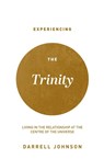 Experiencing the Trinity - Darrell W Johnson - 9781777455606