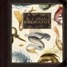Dr. C. Lillefisk's Sirenology - Jana Hiedersorf ; Dr. Cecilia Lillefisk - 9781777791865