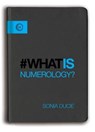 What is Numerology? - Sonia Ducie - 9781780289380