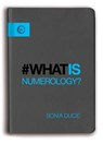 What is Numerology? - Sonia Ducie - 9781780289380