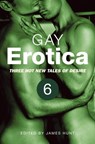 Gay Erotica, Volume 6 - James Hunt - 9781780338071