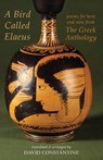 A Bird Called Elaeus - David J. Constantine - 9781780377223