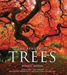 The Beauty of Trees - Michael Jordan - 9781780875583