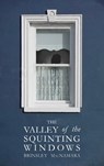 The Valley of the Squinting Windows - Brinsley McNamara - 9781781176498