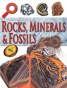 Rocks Minerals and Fossils - Neil Curtis - 9781781213193