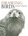 Drawing Birds - Andrew Forkner - 9781781264997