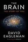 Brain - EAGLEMAN,  David - 9781782116585