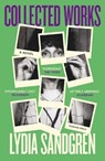 Collected Works: A Novel - Lydia Sandgren - 9781782278009