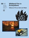 Wildland Fire in Ecosystems - Jan L Et Al Beyers ; Rocky Mountain Research Service ; U S Department of Agriculture - 9781782662884