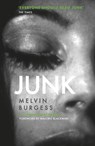 Junk - Melvin Burgess - 9781783448456