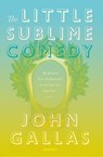 The Little Sublime Comedy - John Gallas - 9781784104740
