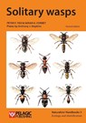 Solitary wasps - Peter F. Yeo ; Sarah Corbet - 9781784270339