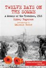 Twelve Days on the Somme - Sidney Rogerson - 9781784385958