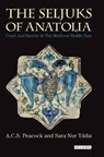The Seljuks of Anatolia - A. C. S. Peacock ; Sara Nur Yildiz - 9781784531652