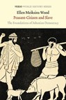Peasant-Citizen and Slave - Ellen Meiksins Wood - 9781784781026