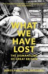 What We Have Lost - James Hamilton-Paterson - 9781784972363