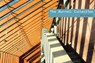 The Burrell Collection - Robert Gartshore ; Iona Shepherd - 9781785514265