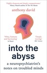 Into the Abyss - Anthony David - 9781786079312