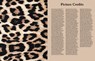 Leopard - ALEXANDER,  Hilary - 9781786273246