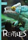 Animal Classification: Reptiles - Steffi Cavell-Clarke - 9781786370990
