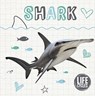 Life Cycle of a Shark - Kirsty Holmes - 9781786372857
