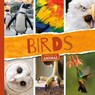 Birds - BRUNDLE,  Joanna - 9781786374318