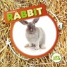 Rabbit - Kirsty Holmes - 9781786379382