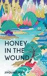 Honey in the Wound - Jiyoung Han - 9781786587312