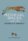 Medieval Wales c.1050-1332 - David Stephenson - 9781786833860