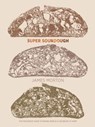 Super Sourdough - Dr James Morton - 9781787134669