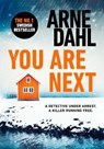 You Are Next - Arne Dahl - 9781787301603